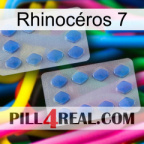 Rhinocéros 7 20